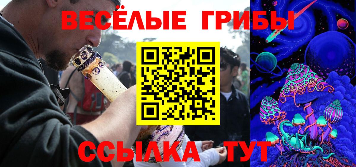 Псилоцибиновые грибы мухоморы  как найти   Нарткала  Вход с VPN 